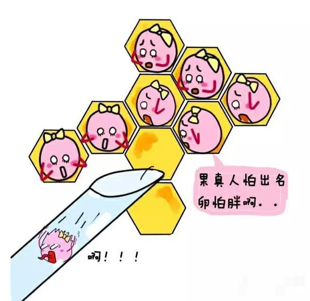 WVpQhcQQ_AF4Y.png