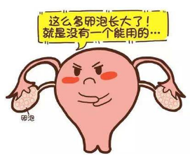 微信截图_20200511164757.png