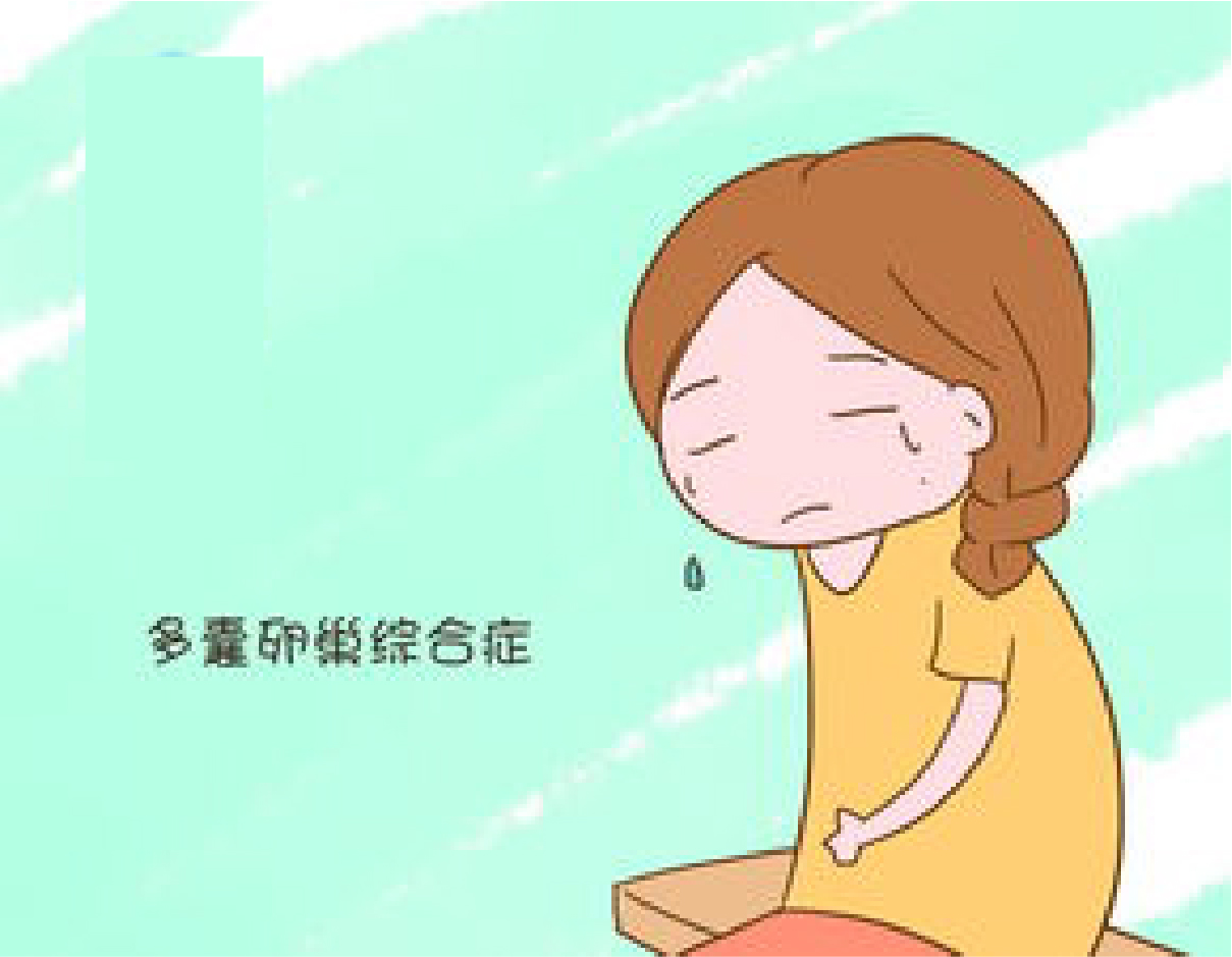 5d66679fe1b5fceb.jpg