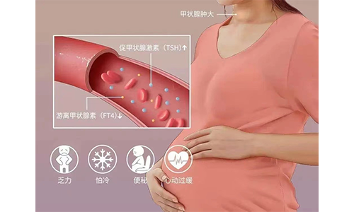 甲减的影响