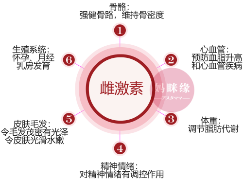 雌激素生理作用_1.png