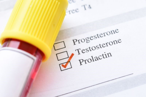 泌乳素 prolactin.png