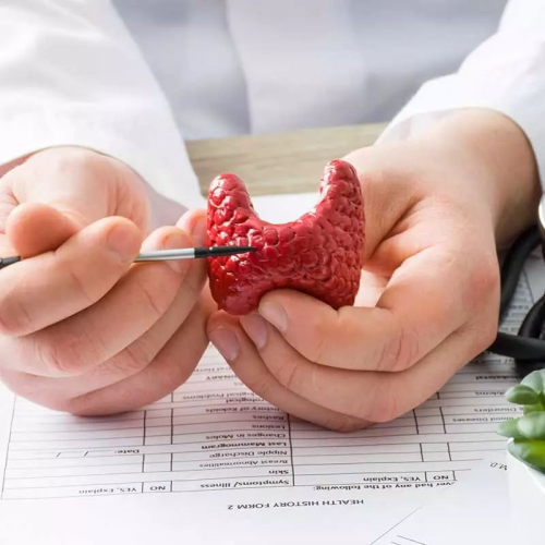 甲状腺 174787-thyroid.png
