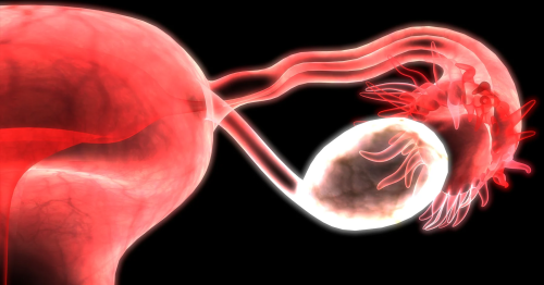 原发性卵巢功能不全 primary_ovarian_insufficiency_pe_1796x943_1