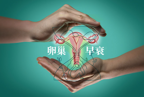 双手 子宫 卵巢 001 妈眯缘.png