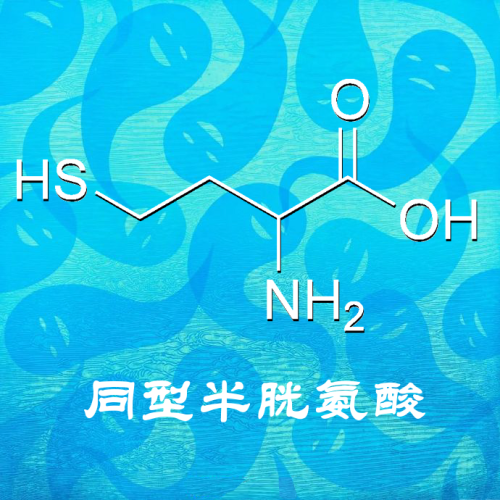 同型半胱氨酸 001.png
