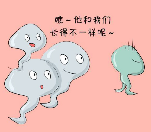 精子异常 漫画