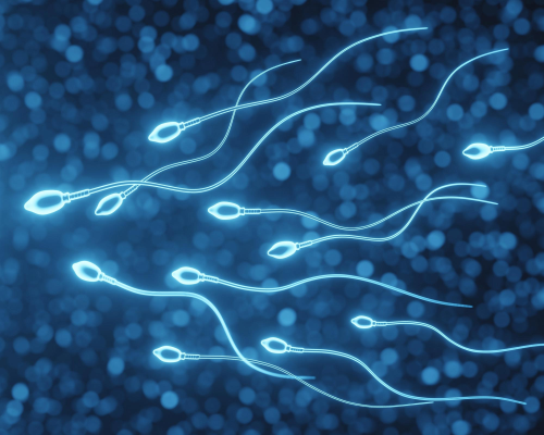 精子 Sperm-Cells-Swimming-Illustration.png