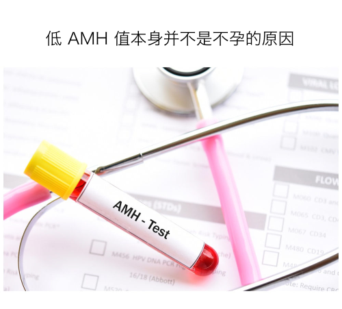 low AMH