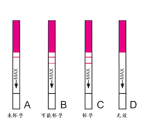 早孕试纸 结果 001.png