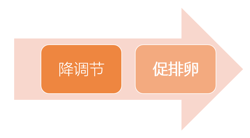 d2a91cc411fda08d1d30fffc29fbf340.jpeg