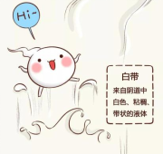 正常白带.png