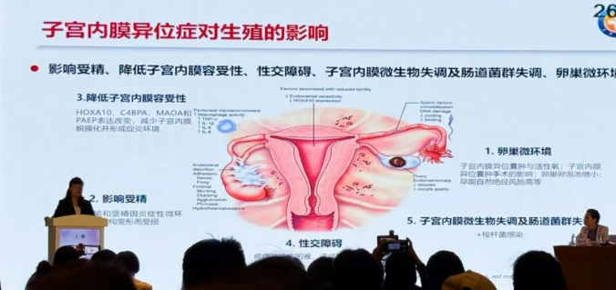 1758533043914547.png image.png