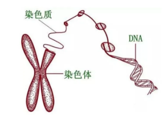 微信截图_20200312171325.png