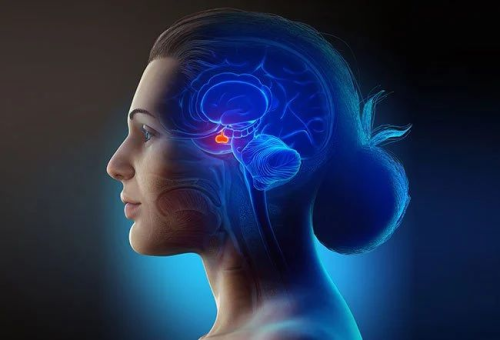 是什么导致脑垂体肿瘤 what-causes-pituitary-adenoma.png