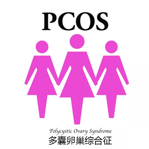 PCOS 1-11172.png