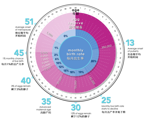 卵子储备倒计时 Egg Count